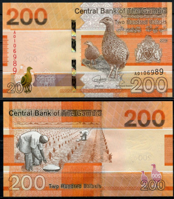 Гамбия 200 даласи 2019 птица, рисовые плантации Pick 42 a  бумага  UNC (пресс) 448-79-3