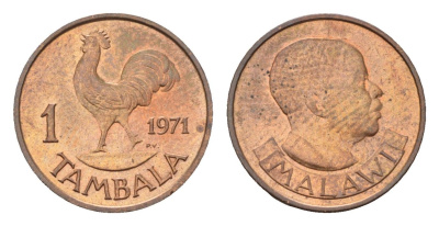 Малави 1 тамбала 1971 KM 7 бронза UNC 4655-117